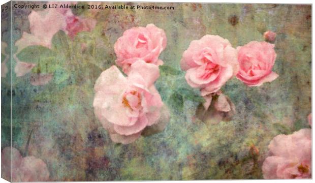 Romance and Roses Canvas Print by LIZ Alderdice