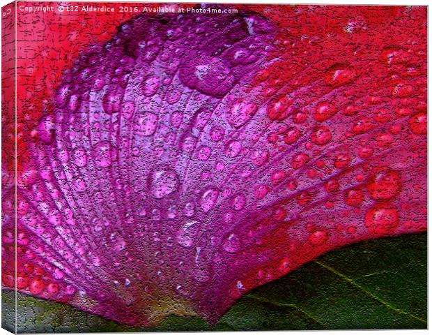 Poppy Petal Abstract Canvas Print by LIZ Alderdice