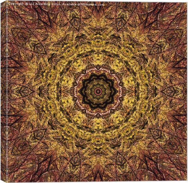Golden Kaleidoscope  Canvas Print by LIZ Alderdice