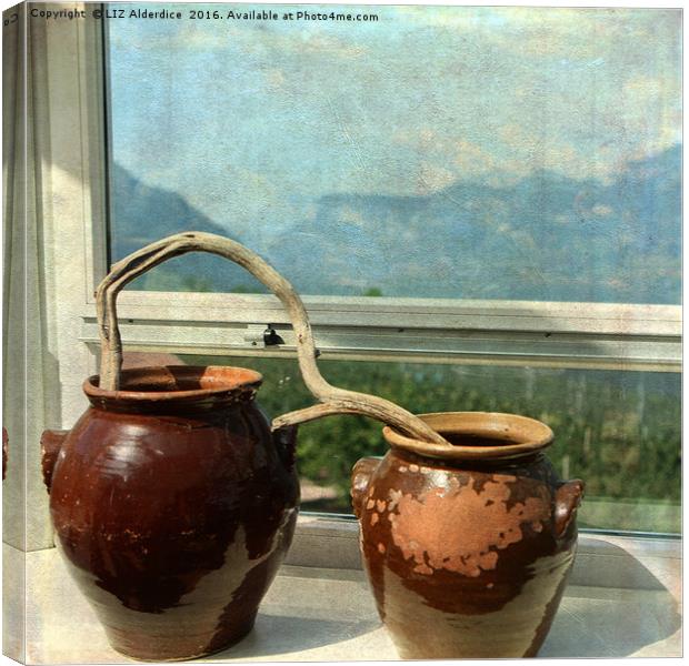 Pots With A View Canvas Print by LIZ Alderdice