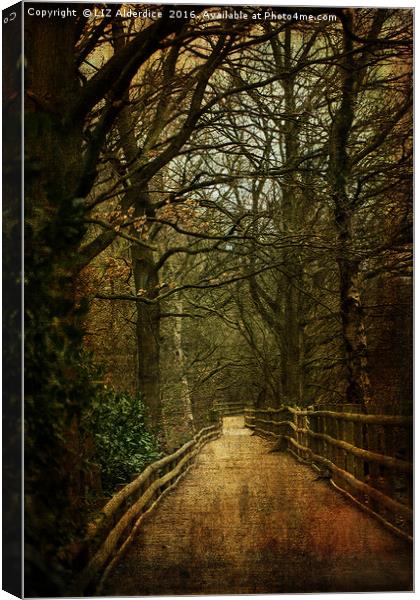 The Path Ahead Canvas Print by LIZ Alderdice