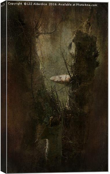 Faery Woodland Scene Canvas Print by LIZ Alderdice