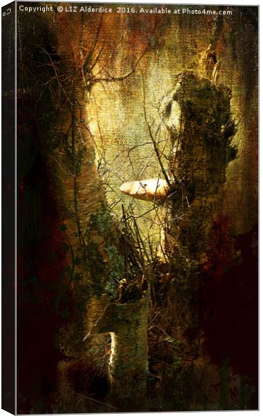 Woodland Fantasy Canvas Print by LIZ Alderdice