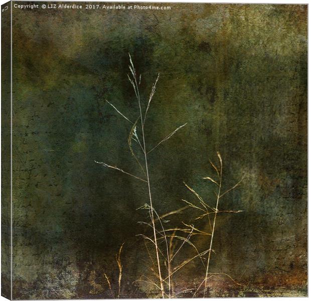 The Remains of The Day Canvas Print by LIZ Alderdice