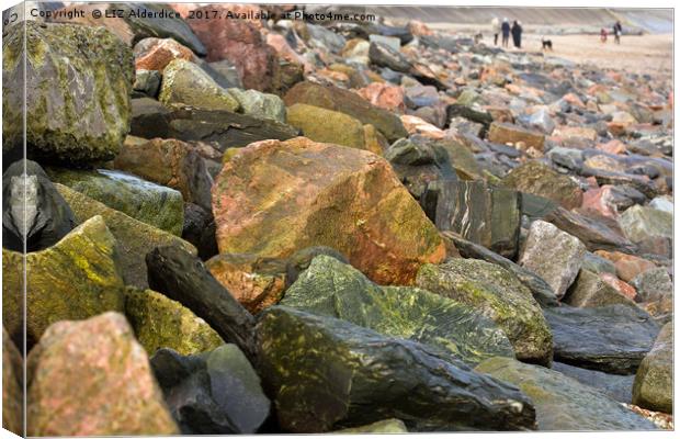 Rocks at The Beach Canvas Print by LIZ Alderdice