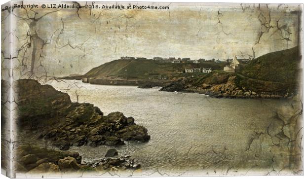 Distressed  Photo of Collieston Canvas Print by LIZ Alderdice