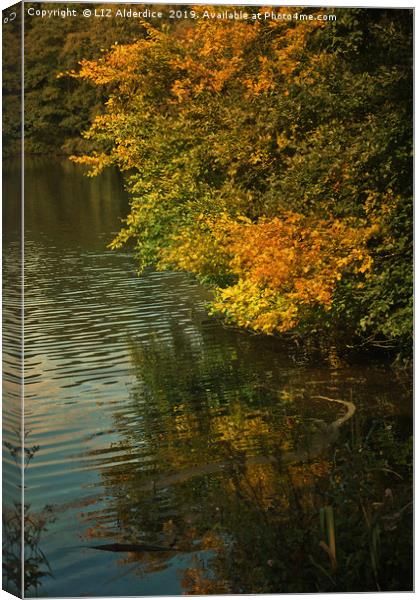 Autumn Reflections Canvas Print by LIZ Alderdice