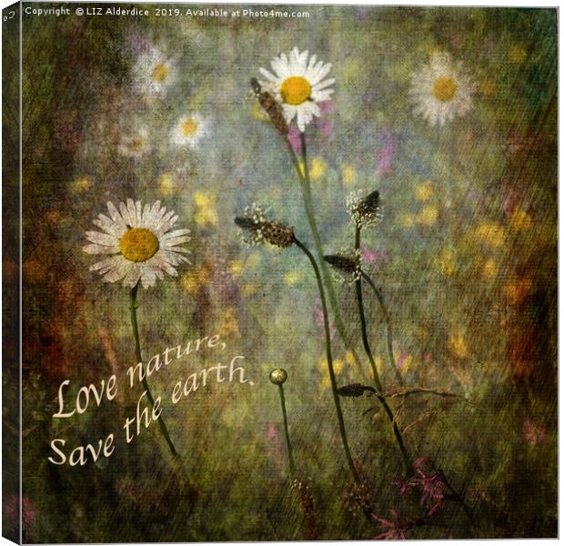 Love Nature - Save the World Canvas Print by LIZ Alderdice