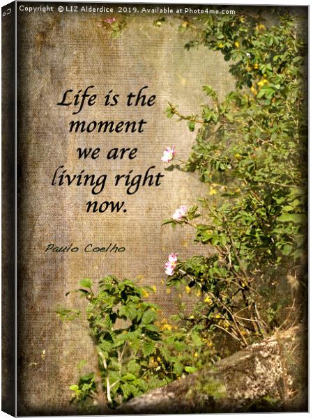 Life Is... Canvas Print by LIZ Alderdice