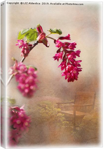 Spring in the Garden Canvas Print by LIZ Alderdice