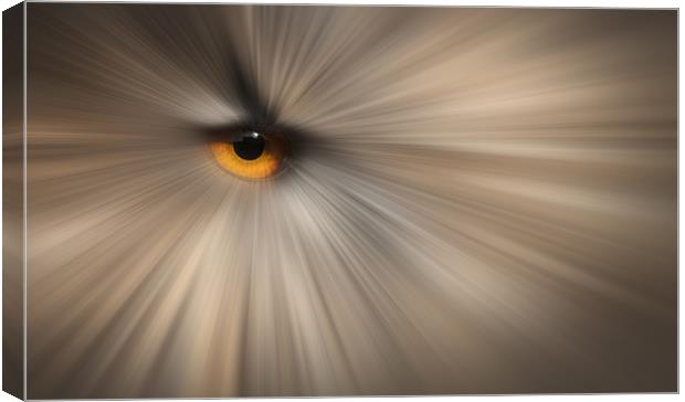 Eagle Owl Eye Abstract Canvas Print by Natures' Canvas: Wall Art  & Prints by Andy Astbury