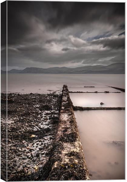 Relic Canvas Print by Natures' Canvas: Wall Art  & Prints by Andy Astbury