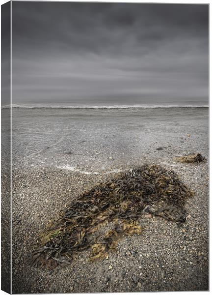 On The Beach Canvas Print by Natures' Canvas: Wall Art  & Prints by Andy Astbury