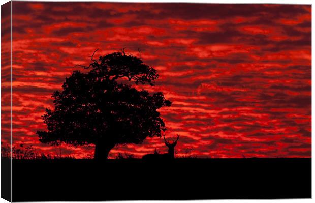Shepherds' Warning Canvas Print by Natures' Canvas: Wall Art  & Prints by Andy Astbury