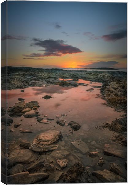 Rock Pool Sunset Canvas Print by Natures' Canvas: Wall Art  & Prints by Andy Astbury