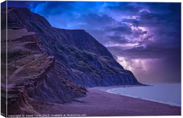 Seatown Beach, Dorset Canvas Print by David Tyrer