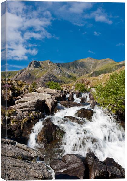 Mountain Stream Canvas Print by David Tyrer