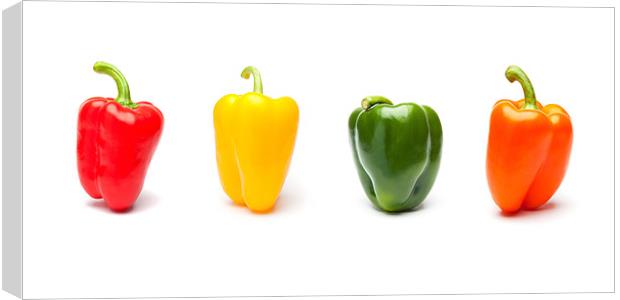Vibrant Panorama of Rainbow Bell Peppers Canvas Print by David Tyrer