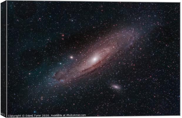 Andromeda's Celestial Dance Canvas Print by David Tyrer