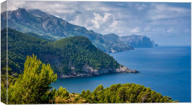 Majorca Coastline near Banyalbufar Canvas Print by David Tyrer