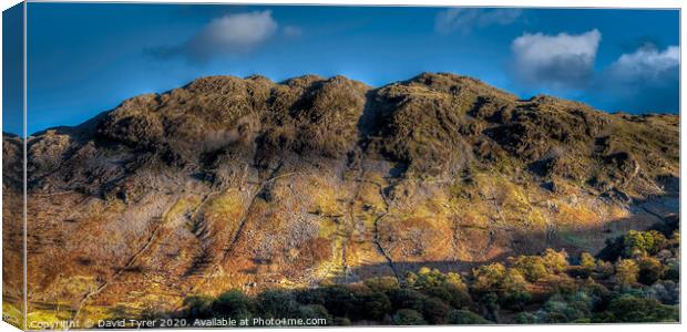 Rosthwaite Fell - Seatoller Canvas Print by David Tyrer