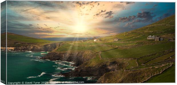 Sunset Embrace at Slea Head Canvas Print by David Tyrer
