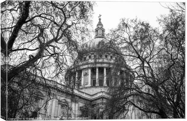Saint Paul's Cathedral, London Canvas Print by David Tyrer