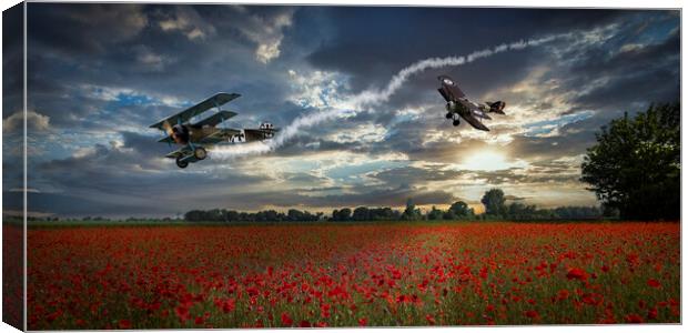 Dogfight over Flanders Canvas Print by David Tyrer