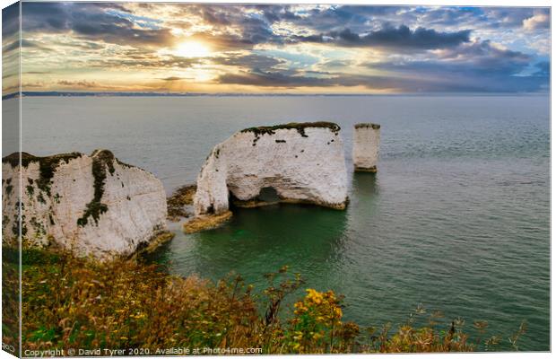 Twilight Glow Over Old Harry Rocks Canvas Print by David Tyrer
