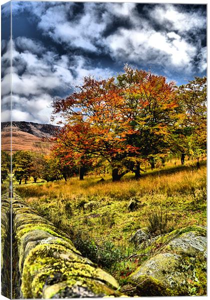 Autumn at Dovestones Canvas Print by Neil Ravenscroft