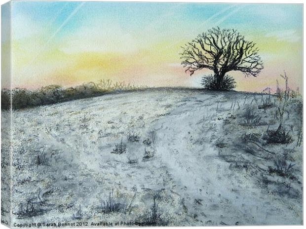 Snowy Oak Canvas Print by Sarah Bonnot