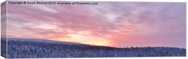 Saariselka Lapland Sunrise Canvas Print by Sarah Bonnot
