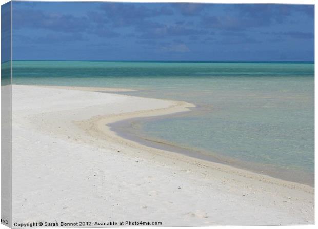 Maldives Beach and Turquoise Sea Canvas Print by Sarah Bonnot