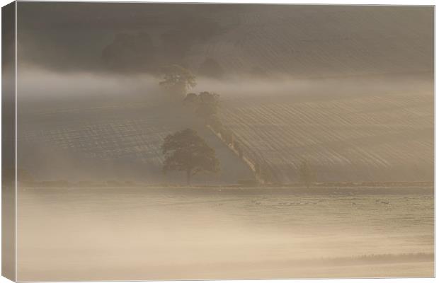 Morning mist Canvas Print by Gavin Wilson