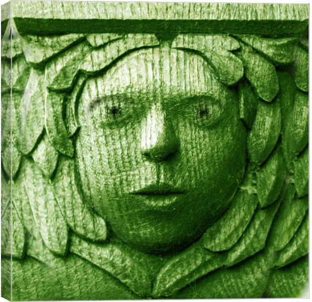 Green Man Canvas Print by Gavin Wilson