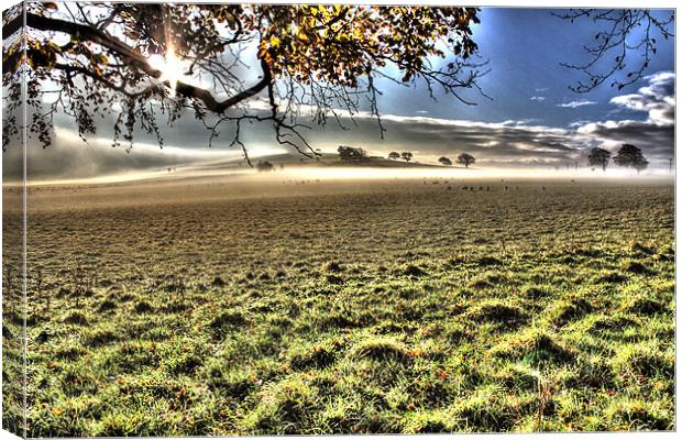 Eden Valley Morning Mist Canvas Print by Gavin Wilson
