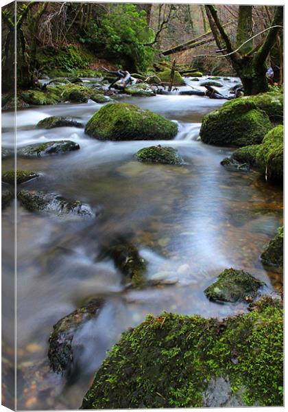River flowing Canvas Print by Gavin Wilson