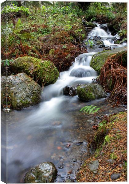 Waterfalls Canvas Print by Gavin Wilson