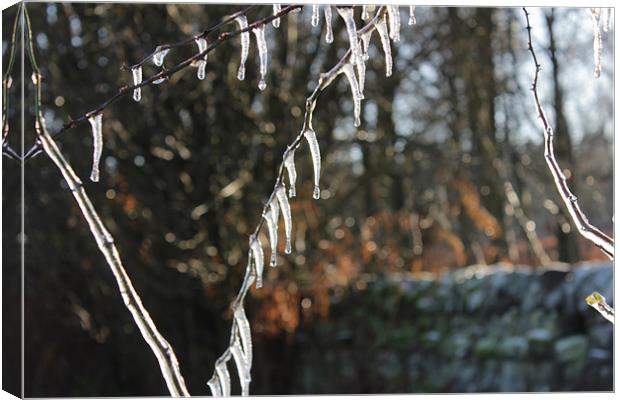 Icicles Canvas Print by Gavin Wilson
