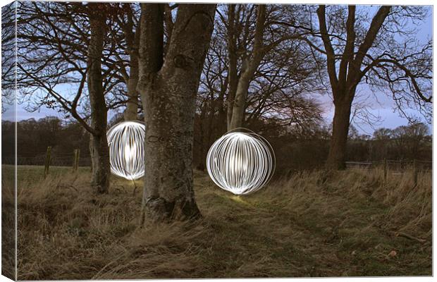 Down in the Woods Canvas Print by Gavin Wilson