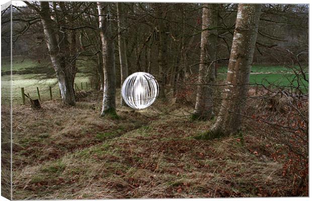 Orb in the woods Canvas Print by Gavin Wilson