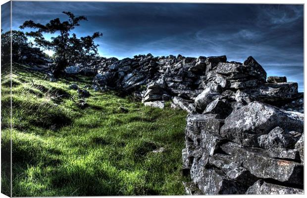 Climbing Wall Canvas Print by Gavin Wilson