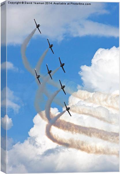  Breitling Jet Team Canvas Print by David Yeaman