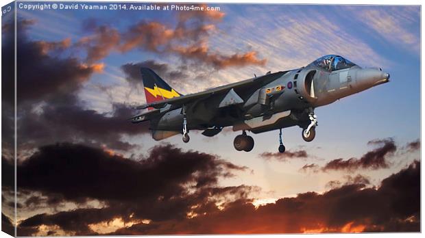  RAF Harrier GR9 Canvas Print by David Yeaman