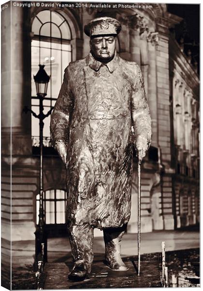 Sir Winston Churchill statue at Petite Palais in P Canvas Print by David Yeaman