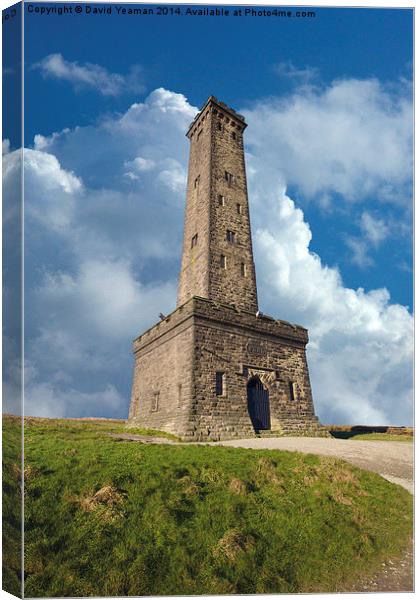 Peel Monument Canvas Print by David Yeaman