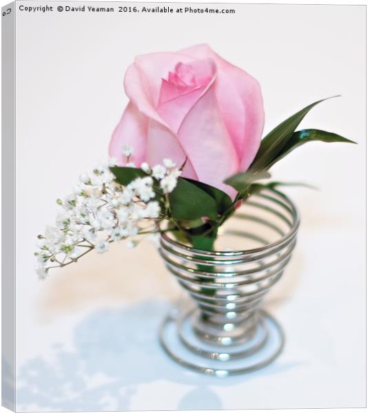 Pink Rose in an egg cup Canvas Print by David Yeaman