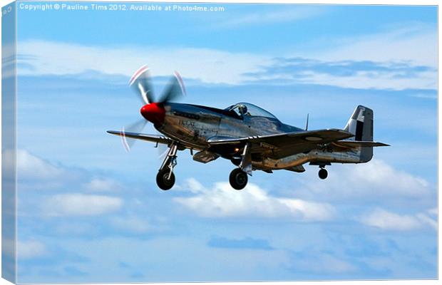 P 15D MUSTANG Canvas Print by Pauline Tims