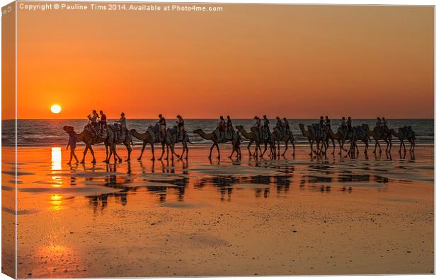 Camels, Cable Beach, Western Australia Canvas Print by Pauline Tims