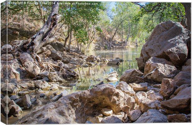 The Billabong (Water Hole) Canvas Print by Pauline Tims